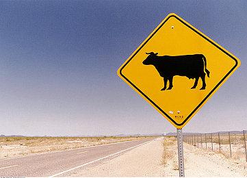 Steam《怪物猎人》系列优惠特卖 多款作品平史低促销